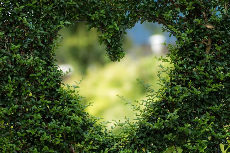 Loving-Kindness